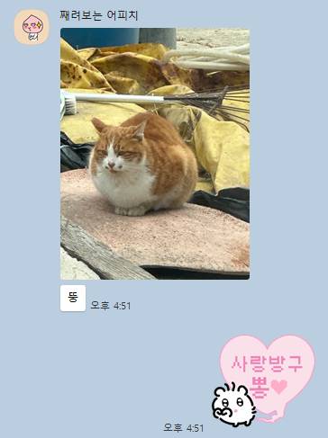 [잡담] 나 진짜 오빠랑 친한듯ㅋㅋ | 인스티즈