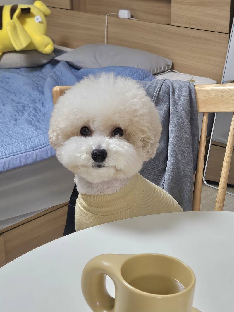 [잡담] 아무리 생각해도 울강쥐 자기가 사람인줄아는듯 | 인스티즈