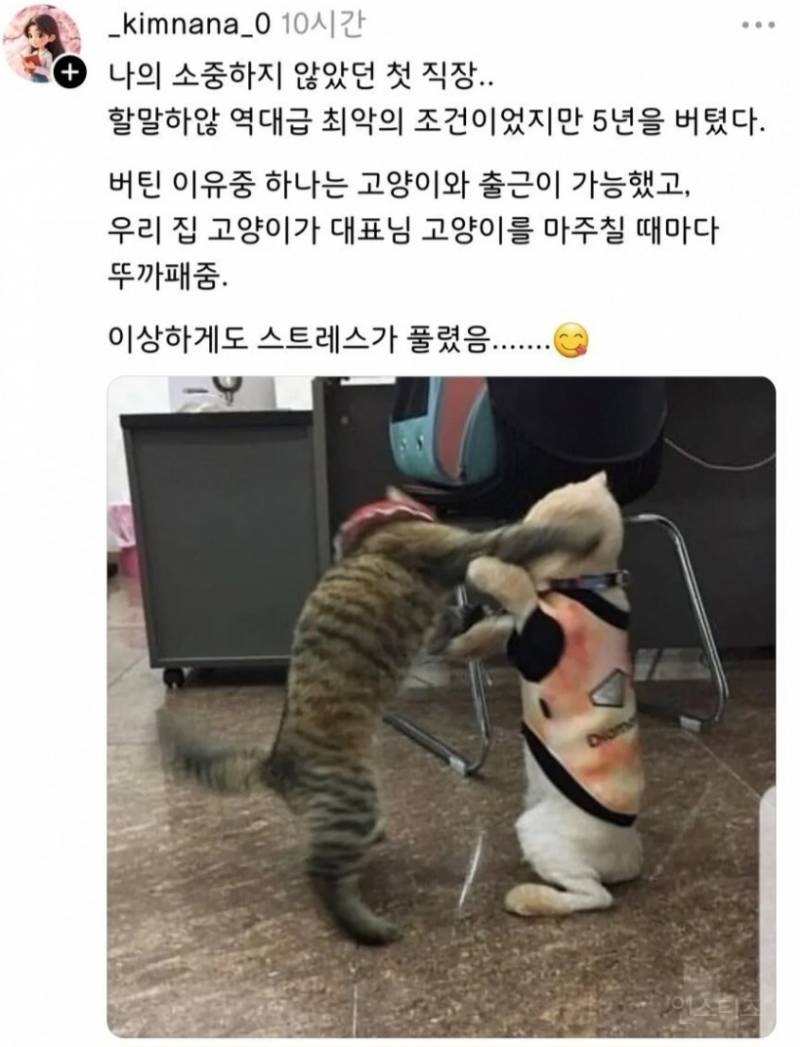 내가 첫 회사에서 5년이나 버틸 수 있었던 이유.jpg | 인스티즈