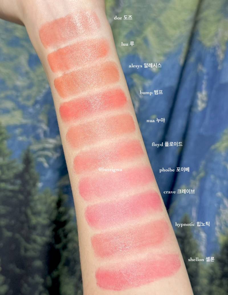 [잡담] 갈웜은 여기서 무슨 색 사야 돼?? | 인스티즈