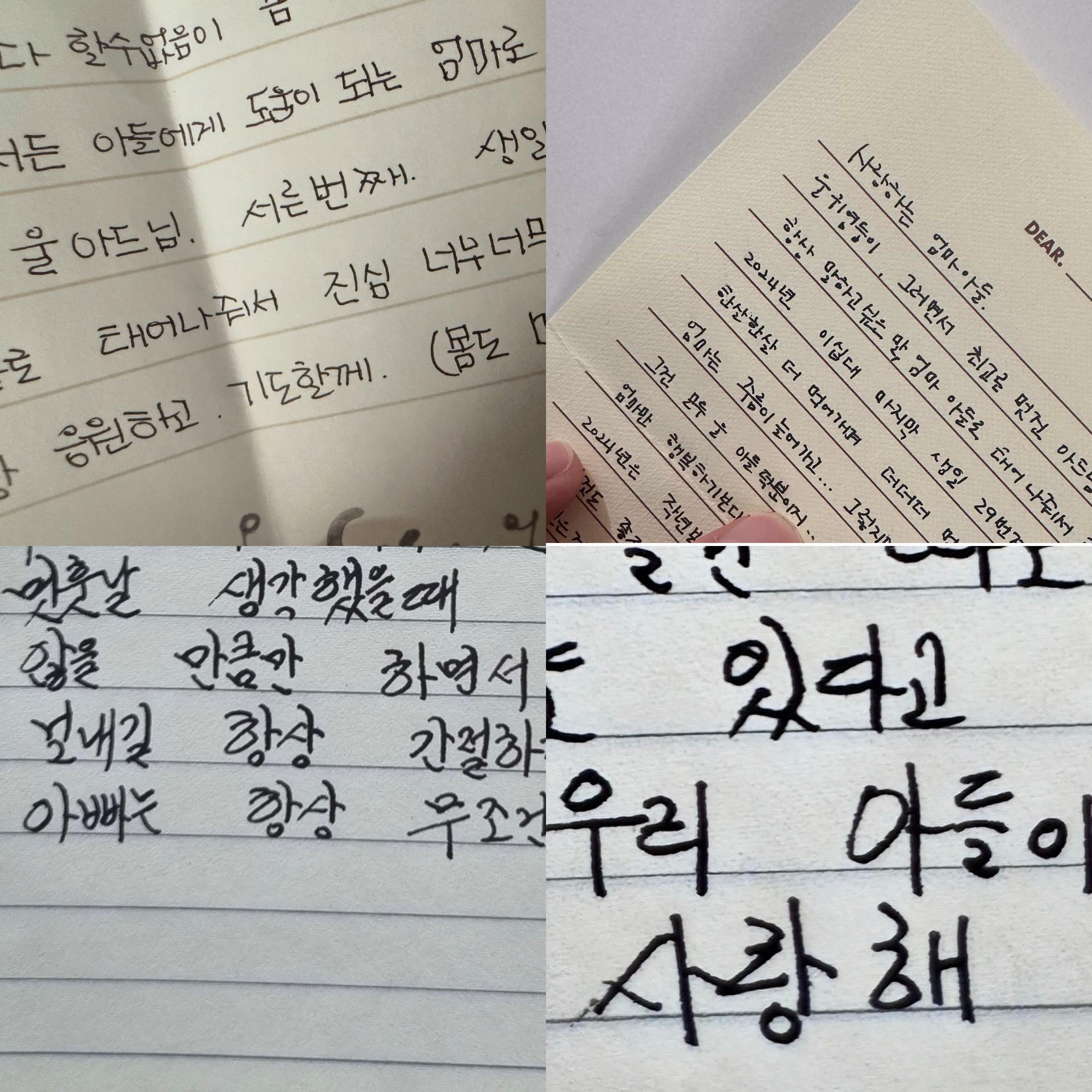 [잡담] .........나 진심으로 공명 도영네서 다시 키워지고싶어...... | 인스티즈