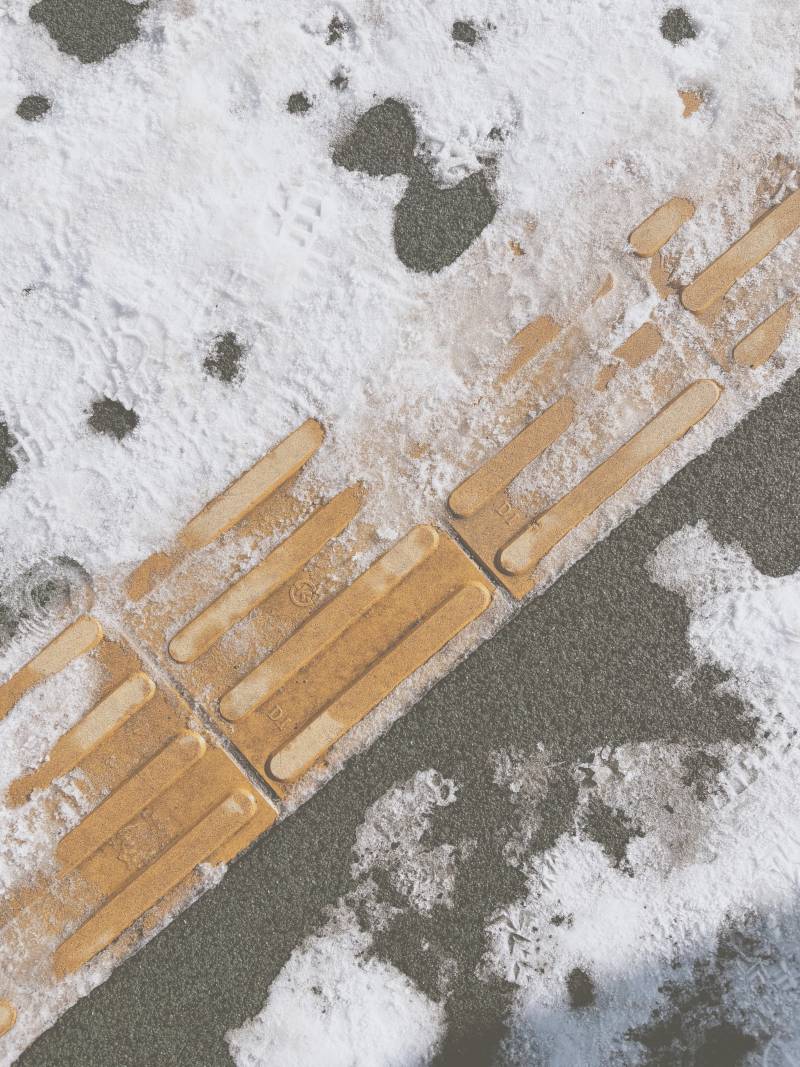 [잡담] 매일 다니는 길인데 오늘따라 예뻐 보이네 | 인스티즈