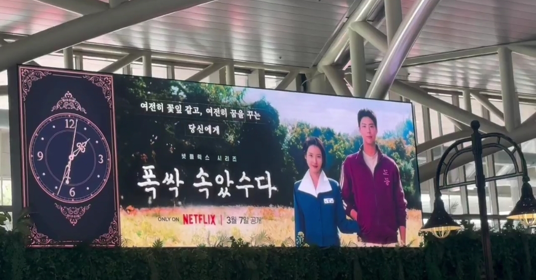 [잡담] 폭싹 진짜 넷플 기대작인가봐 | 인스티즈