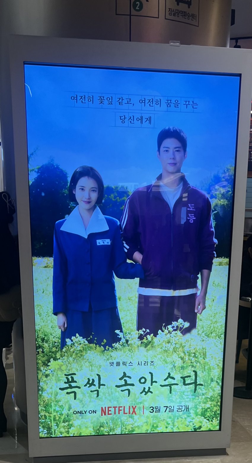 [잡담] 폭싹 진짜 넷플 기대작인가봐 | 인스티즈