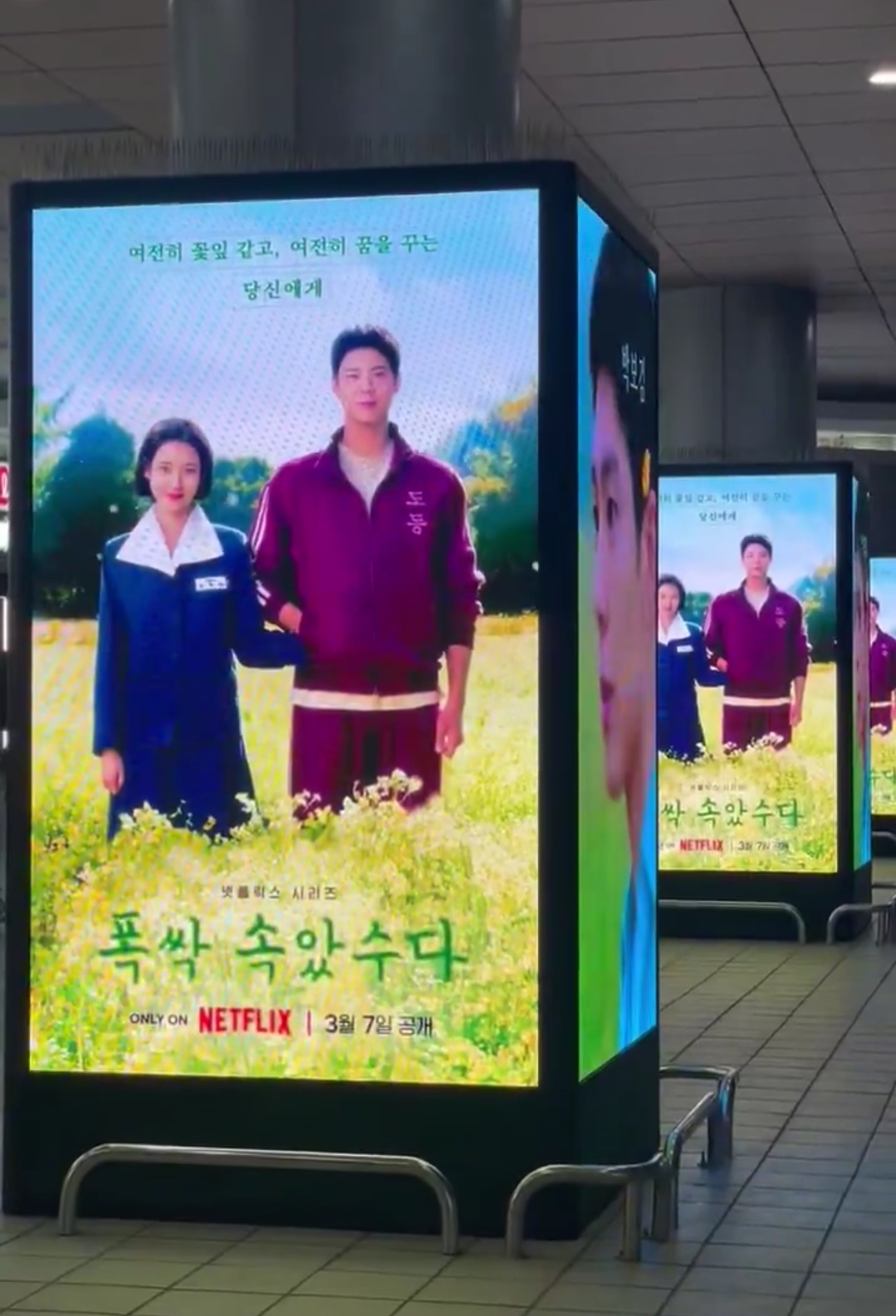 [잡담] 폭싹 진짜 넷플 기대작인가봐 | 인스티즈