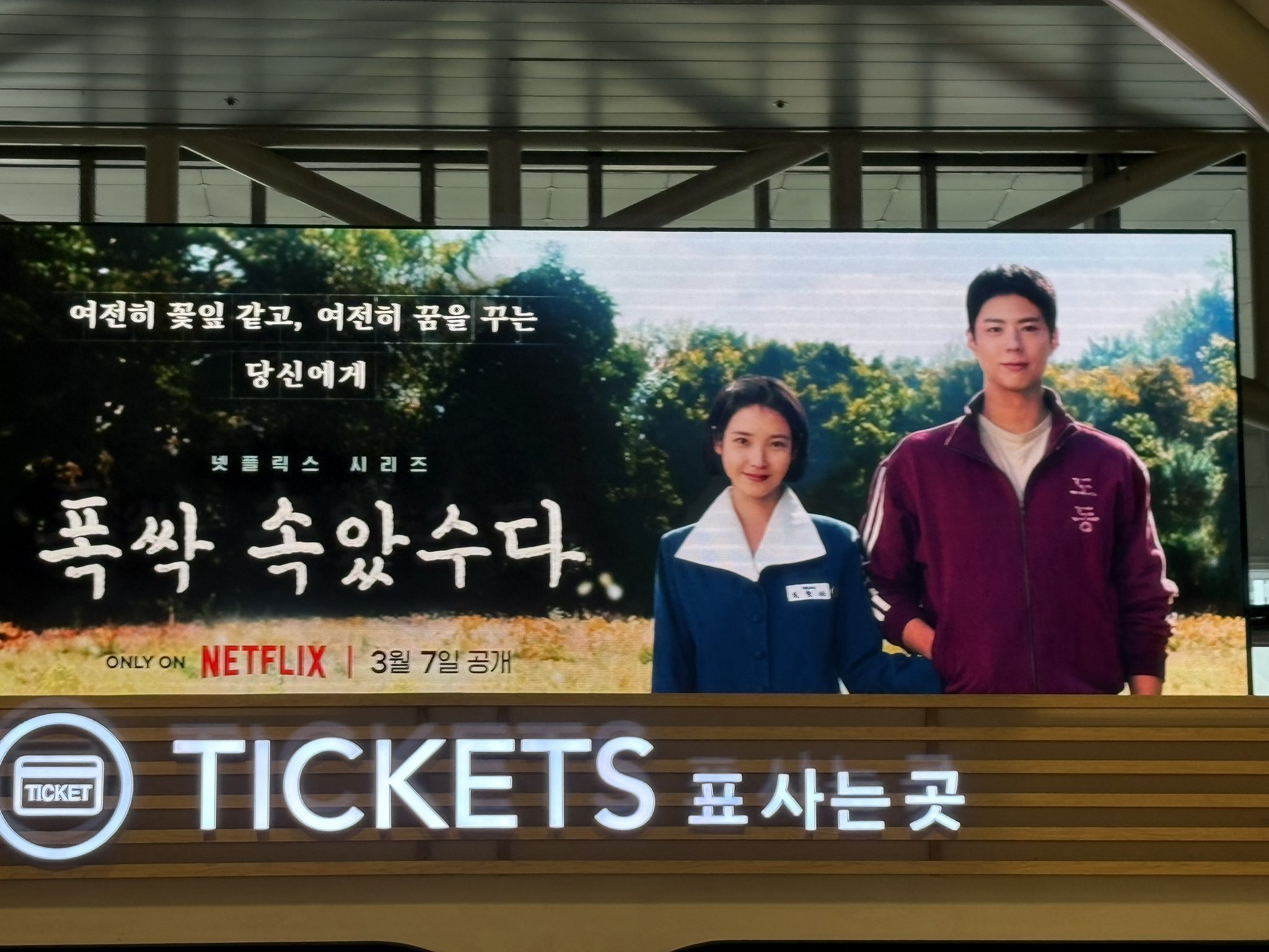 [잡담] 폭싹 진짜 넷플 기대작인가봐 | 인스티즈