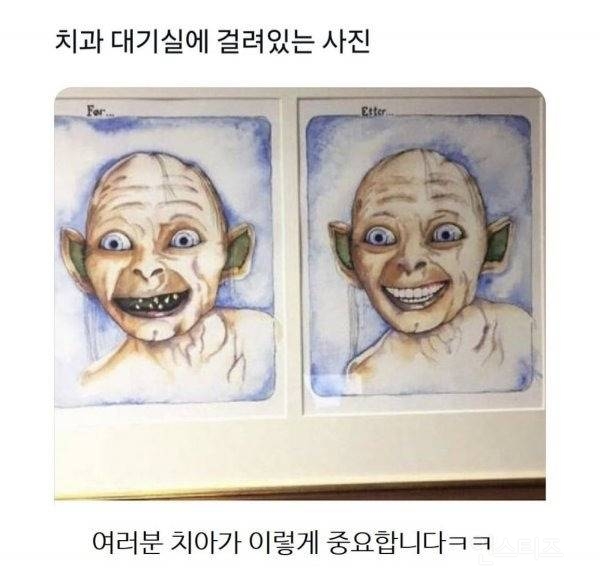 치과 대기실에 걸려있는 사진.jpg | 인스티즈