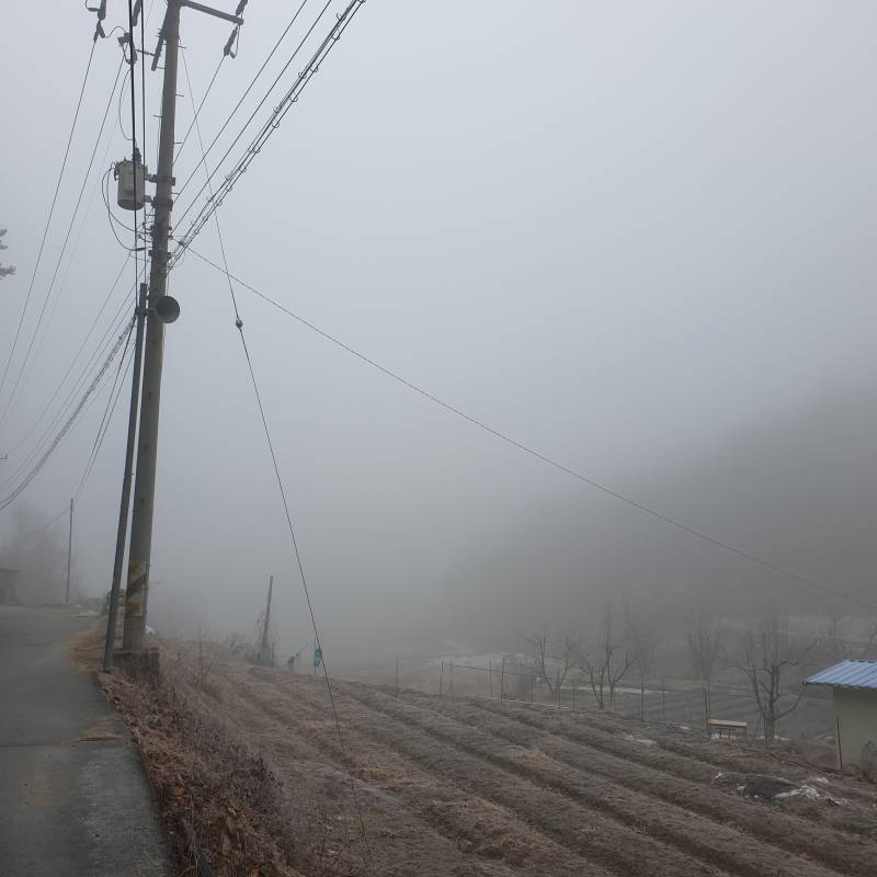 [잡담] 우리 시골집 완전 공포영화임 | 인스티즈