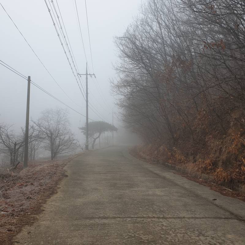 [잡담] 우리 시골집 완전 공포영화임 | 인스티즈