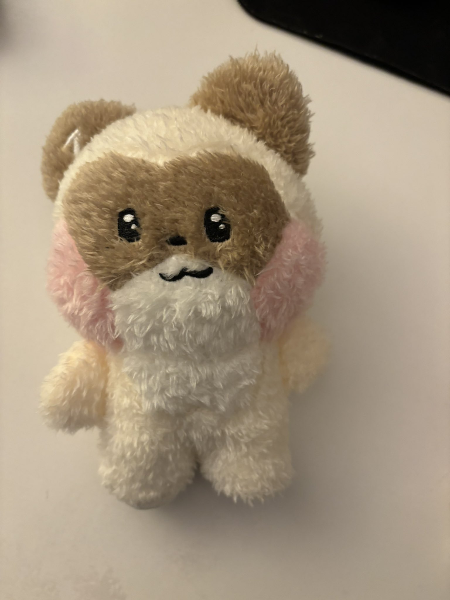 [잡담] 아니 장하오 인형 | 인스티즈