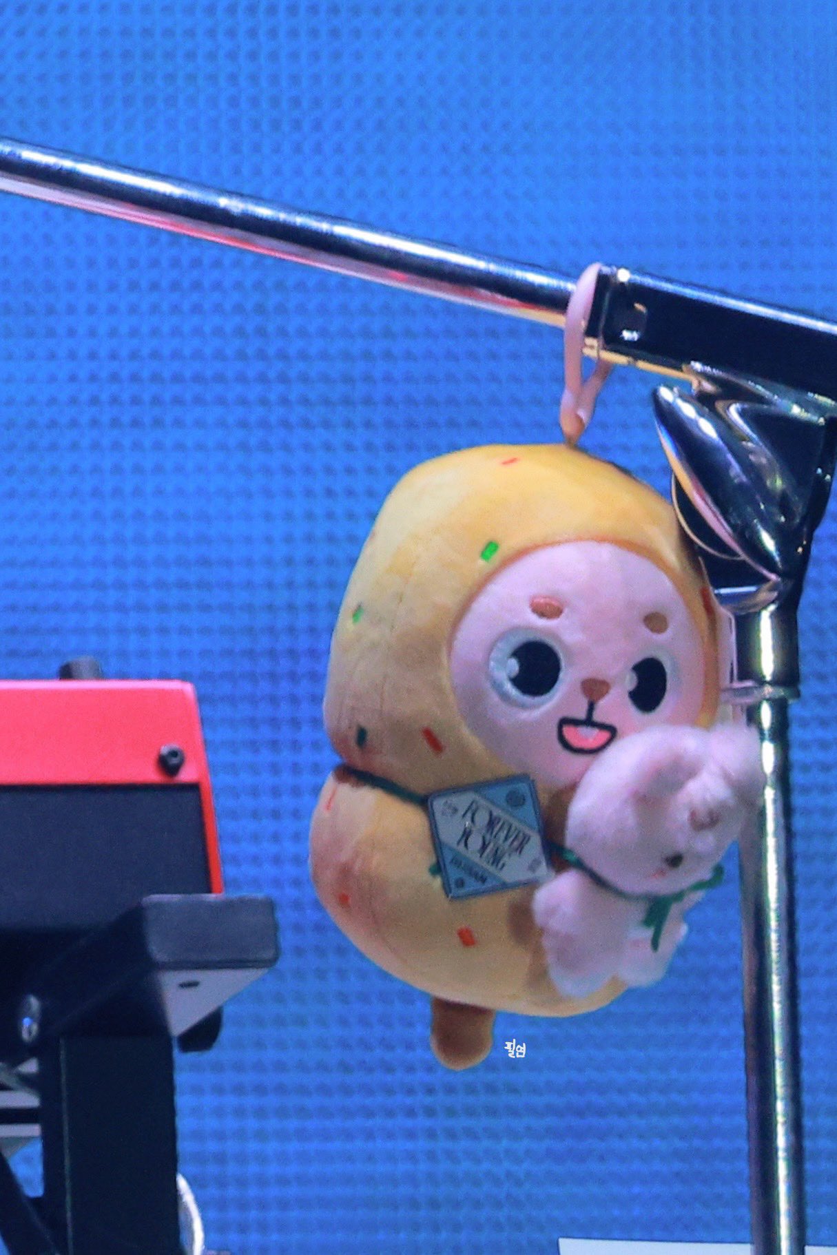 [잡담] 데이식스 콘서트 관전포인트 중 하나 인형꾸미기 | 인스티즈