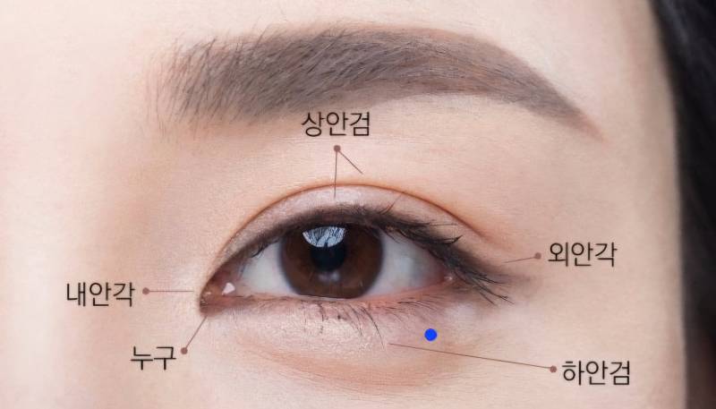 [잡담] 눈밑에 점이 크게 생겼는데 뺄까말까 | 인스티즈