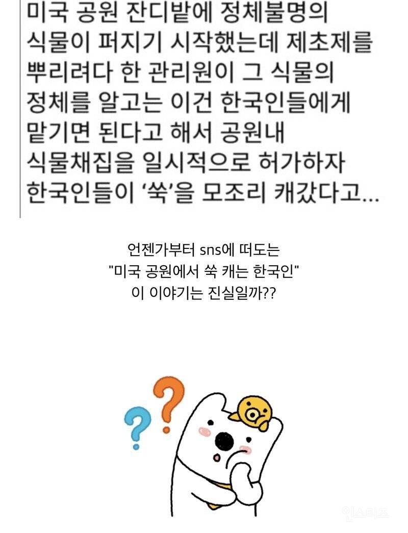 미국 : 공원에 한국인을 풀어라 | 인스티즈