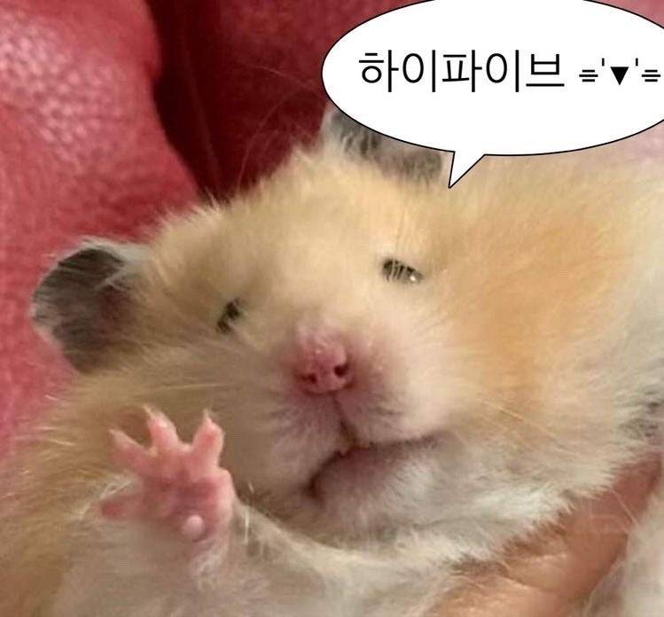 [잡담] 뭐야 내 손가락 왜이래 | 인스티즈