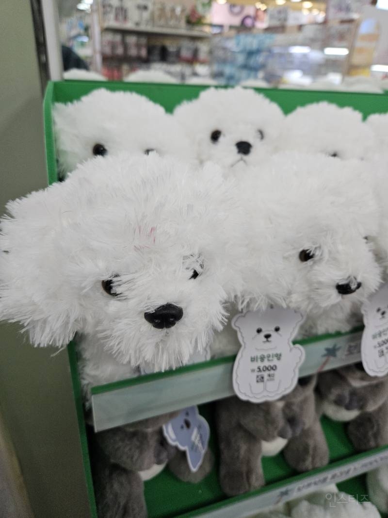 책임없는 사랑(다이소 ver.) | 인스티즈