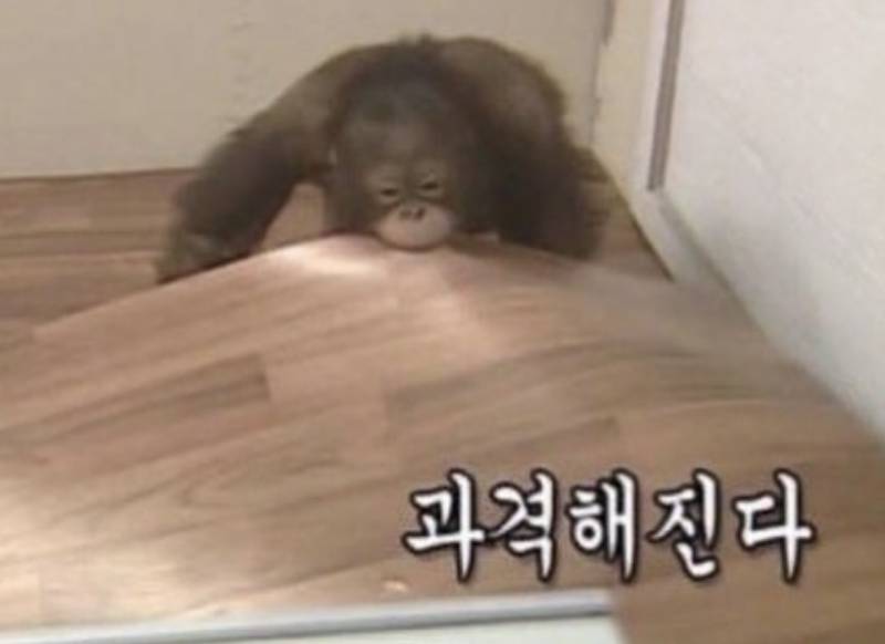 [잡담] 💖예뻐지고 싶으면 속눈썹펌 강추…💖 (사진) | 인스티즈