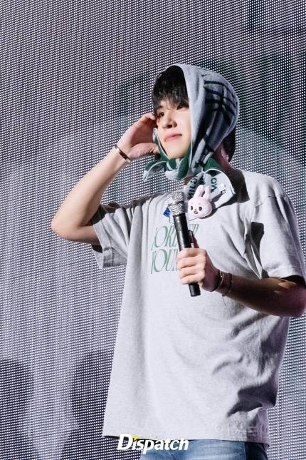 "오늘, 벚꽃처럼 물들었다"…데이식스, 도쿄의 한 페이지 | 인스티즈