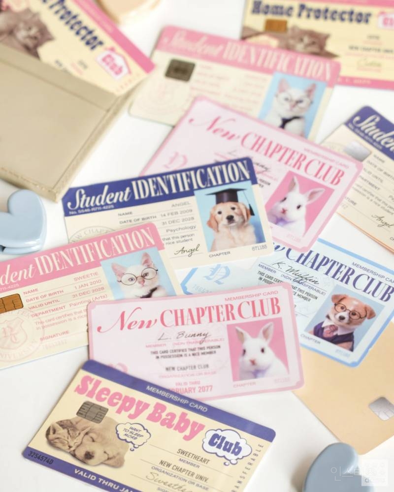 💙2025 다이소 신학기 뉴챕터 시리즈🎒 | 인스티즈