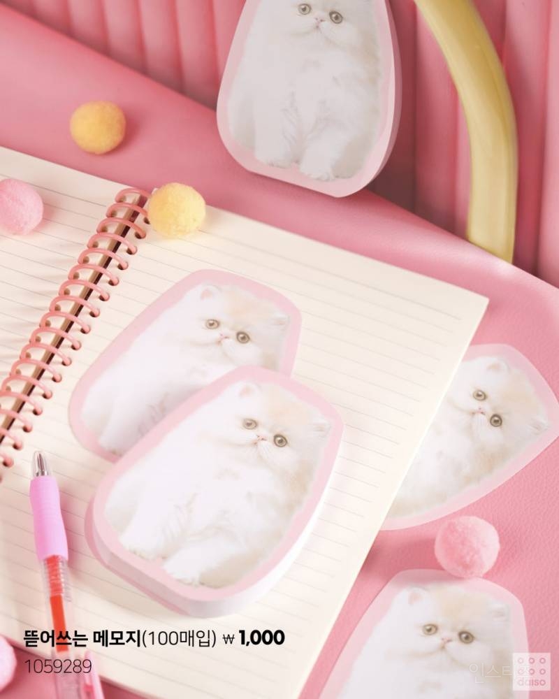 💙2025 다이소 신학기 뉴챕터 시리즈🎒 | 인스티즈