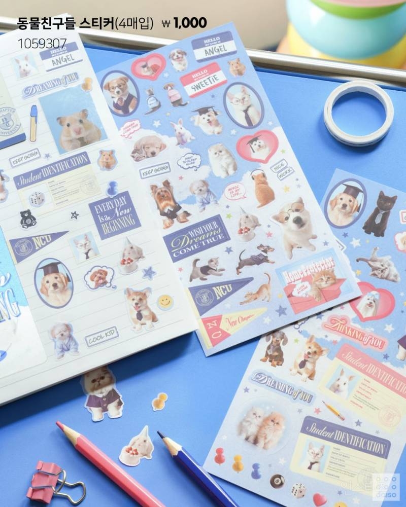 💙2025 다이소 신학기 뉴챕터 시리즈🎒 | 인스티즈