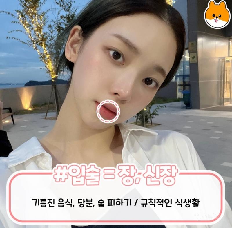 부위별로 나는 여드름 총정리.jpg | 인스티즈