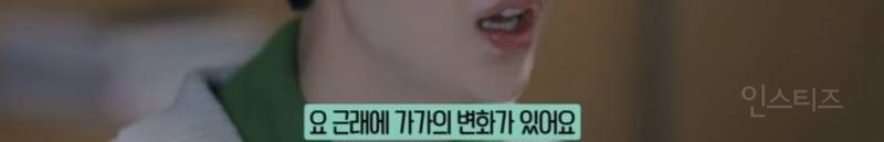 노령견을 키우는사람이면 공감하는이유.jpg | 인스티즈