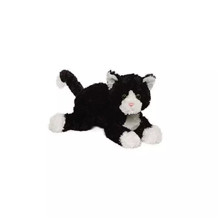 ᓚ₍ ^. .^₎ | 인스티즈