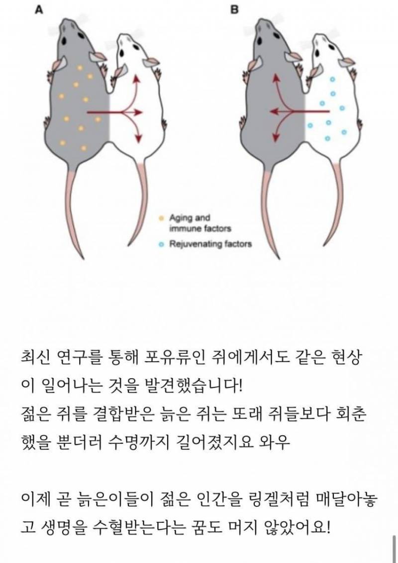 [잡담] 이거 진짜면 미래가 좀 무서워진다 | 인스티즈