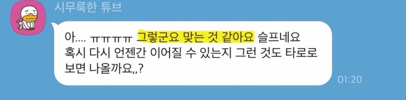 미친 가성비➕소름돋는 적중력✨ 후기가 증명하는 밤비타로💝 | 인스티즈