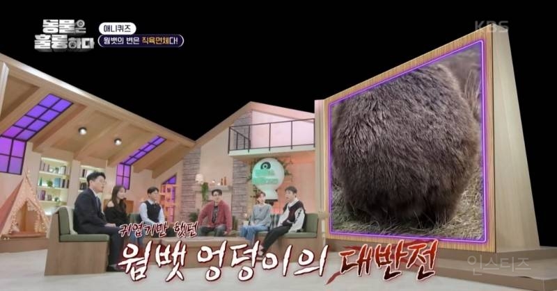 [동훌륭] 치명적인 뒤태를 가진 세계 유일 직육면체 변을 보는 동물 | 인스티즈