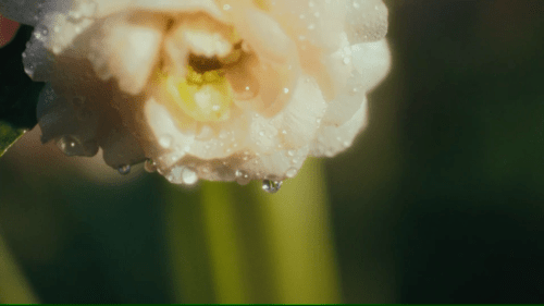 미감 좋다는 아이돌 뮤비 .jpgif | 인스티즈