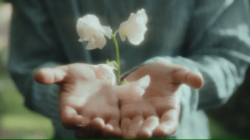 미감 좋다는 아이돌 뮤비 .jpgif | 인스티즈