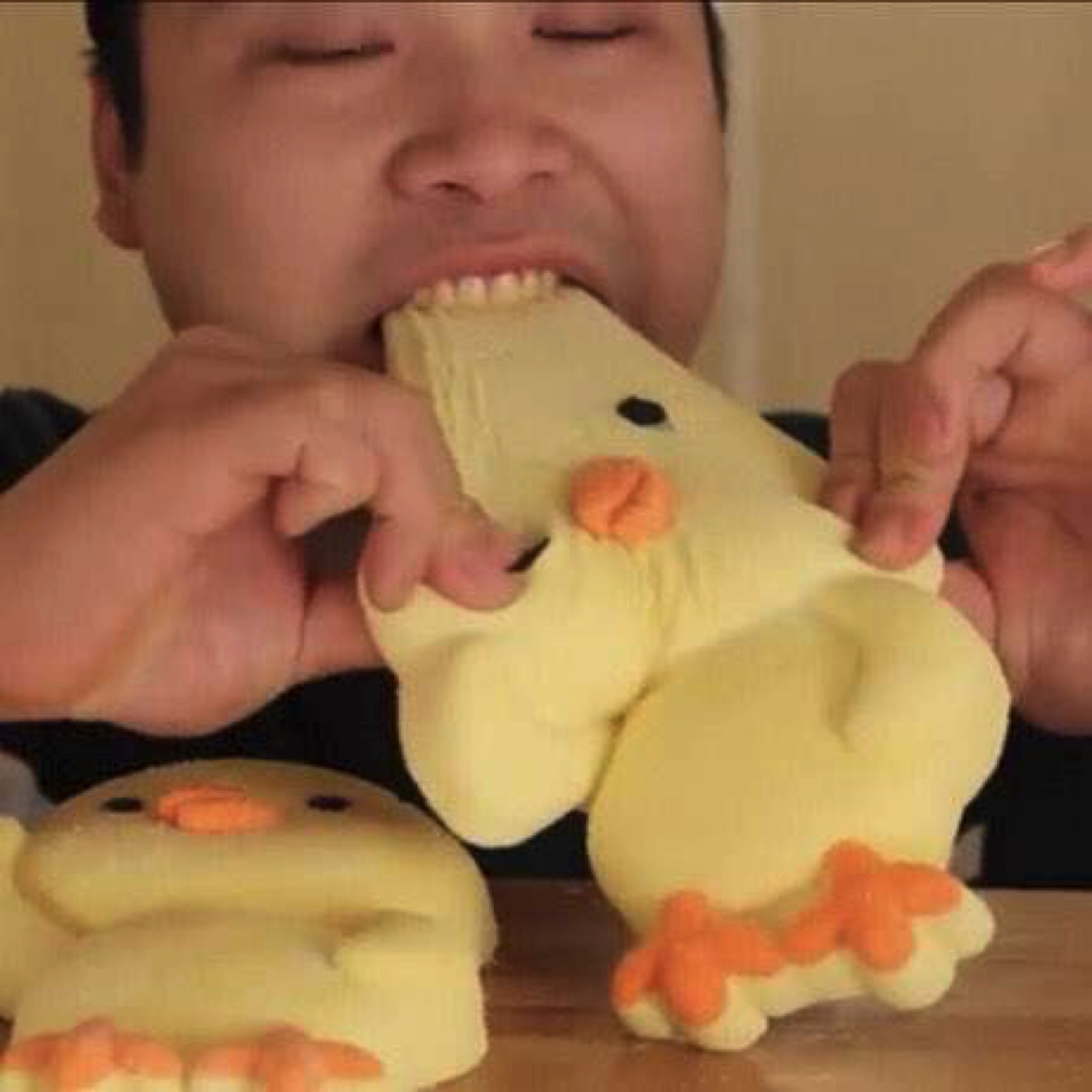 [잡담] 우리집 선정 가장 귀여운 새해 인사 ㄹㅏ이즈 원빈 축하드립니다 | 인스티즈