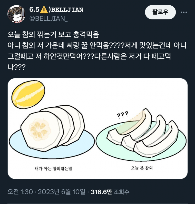 현재 서로 문화충격 받는다는 참외 깎는 법.JPG | 인스티즈