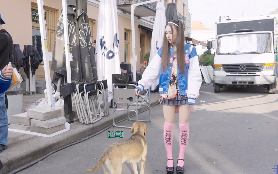 뮤비 찍는 곳마다 떠돌이 강아지가 나타났다는 나라 | 인스티즈