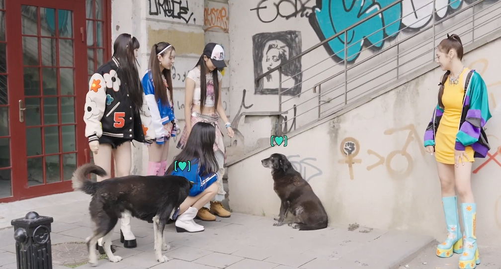 뮤비 찍는 곳마다 떠돌이 강아지가 나타났다는 나라 | 인스티즈
