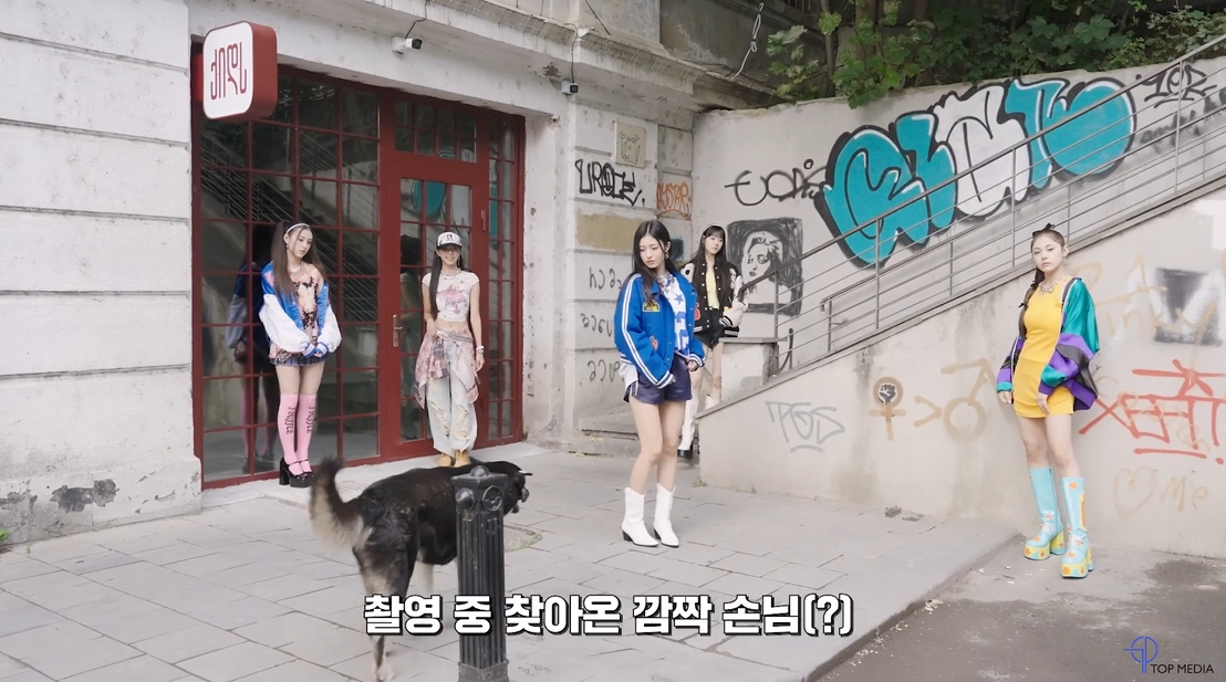 뮤비 찍는 곳마다 떠돌이 강아지가 나타났다는 나라 | 인스티즈