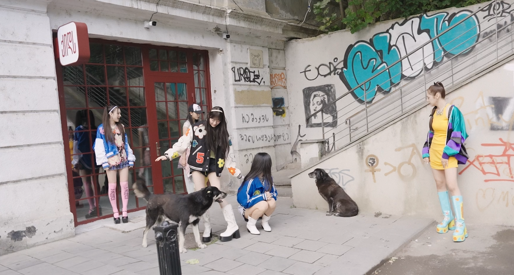 뮤비 찍는 곳마다 떠돌이 강아지가 나타났다는 나라 | 인스티즈