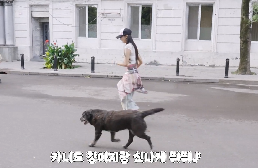 뮤비 찍는 곳마다 떠돌이 강아지가 나타났다는 나라 | 인스티즈