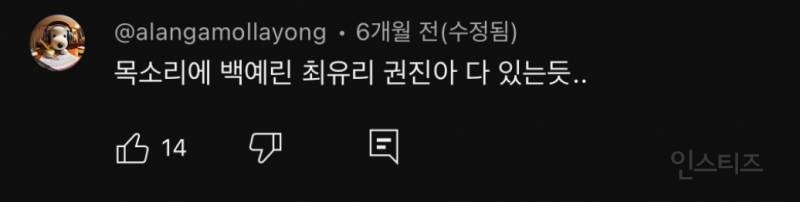 목소리에 백예린 권진아 다 있는 신인가수 | 인스티즈