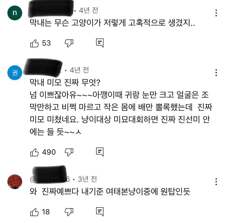 [잡담] 사람들 고양이 외모는 ㄹㅇ 찐으로 감탄하는거같음 | 인스티즈
