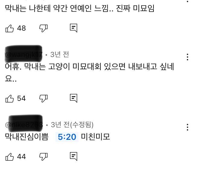 [잡담] 사람들 고양이 외모는 ㄹㅇ 찐으로 감탄하는거같음 | 인스티즈