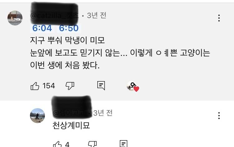[잡담] 사람들 고양이 외모는 ㄹㅇ 찐으로 감탄하는거같음 | 인스티즈