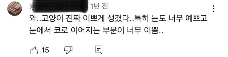 [잡담] 사람들 고양이 외모는 ㄹㅇ 찐으로 감탄하는거같음 | 인스티즈
