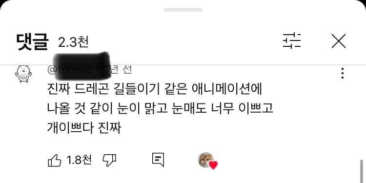 [잡담] 사람들 고양이 외모는 ㄹㅇ 찐으로 감탄하는거같음 | 인스티즈
