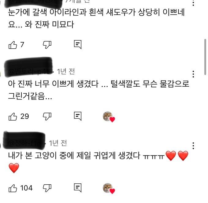 [잡담] 사람들 고양이 외모는 ㄹㅇ 찐으로 감탄하는거같음 | 인스티즈