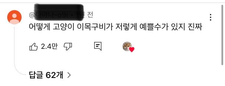 [잡담] 사람들 고양이 외모는 ㄹㅇ 찐으로 감탄하는거같음 | 인스티즈