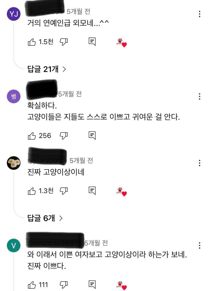 [잡담] 사람들 고양이 외모는 ㄹㅇ 찐으로 감탄하는거같음 | 인스티즈