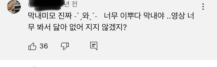 [잡담] 사람들 고양이 외모는 ㄹㅇ 찐으로 감탄하는거같음 | 인스티즈