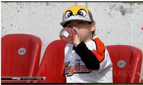 야구가 진짜 위험한 스포츠인 이유 | 인스티즈